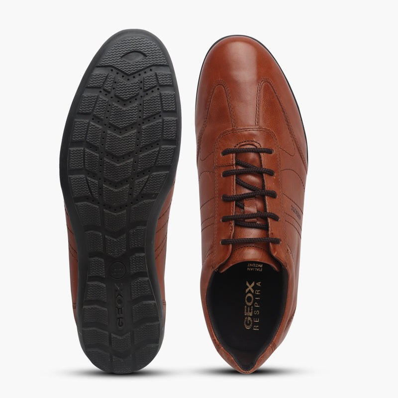 GEOX Cotto Symbol Sneakers – Fairdeal Shoes